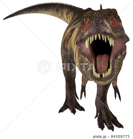 T Rex ティラノサウルス Tyrannosaurのイラスト素材