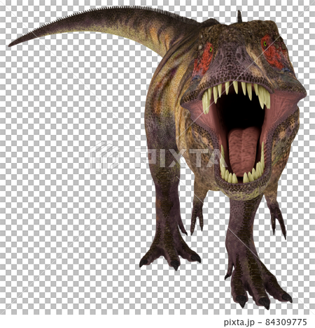 T-REX☆ティラノサウルス☆Tyrannosaur 84309775