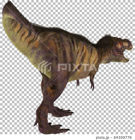 T-REX ☆ Tyrannosaurus ☆ Tyrannosaur T-REX ☆ Tyrannosaurus ☆ Tyrannosaur 84309776