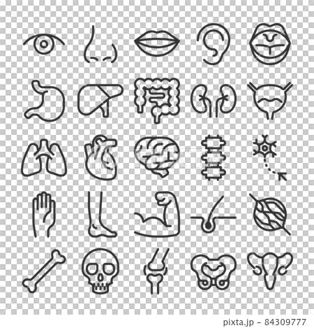 ヒトの体の部位 アイコン セット ヒトの体の部位 アイコン セット 84309777