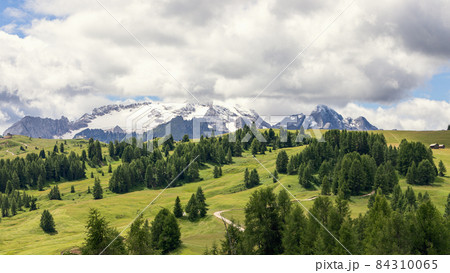 Alpine plateau with pine forests in the rays of the sun and the Dolomites covered with snow Alpine plateau with pine forests in the rays of the sun and the Dolomites covered with snow 84310065