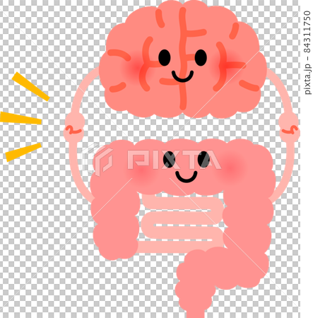 手をつなぐ脳と腸のキャラクター 84311750