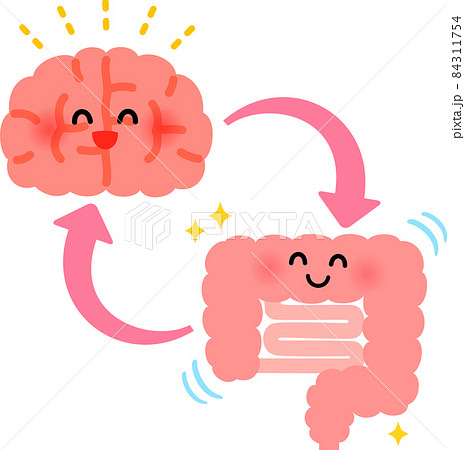 元気な脳と腸のキャラクターと循環の矢印 84311754