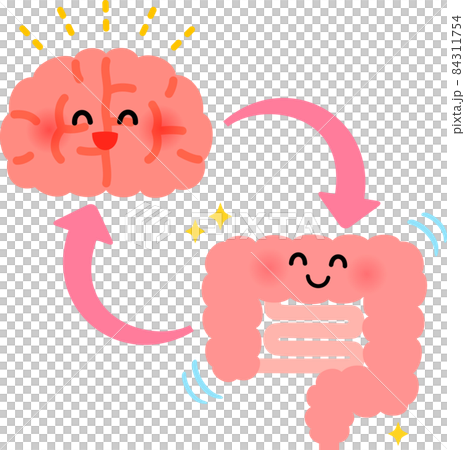 元気な脳と腸のキャラクターと循環の矢印 84311754
