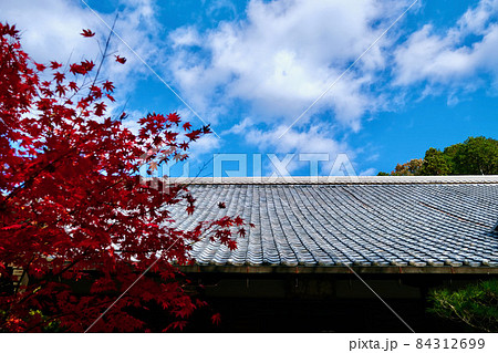 【京都】秋の圓光寺（紅葉） 84312699