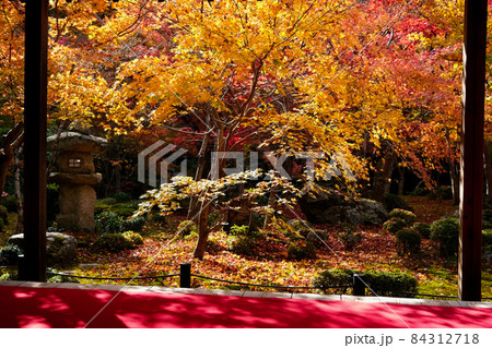 【京都】秋の圓光寺（紅葉） 84312718