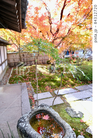 【京都】秋の圓光寺(紅葉) 【京都】秋の圓光寺(紅葉) 84312720