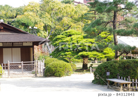 広島縮景園の松の景色 広島縮景園の松の景色 84312843