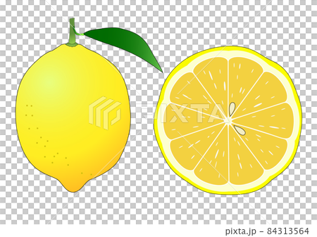 A set of a lemon with leaves and a cross section of a lemon cut across 84313564