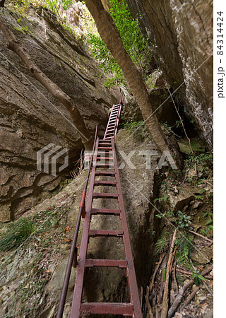 通天洞　乳岩峡（愛知県新城市川合乳岩） 84314424