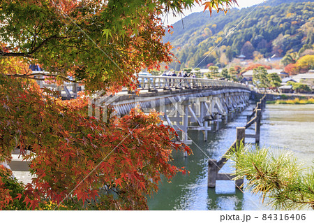 紅葉真っ盛りの嵐山 84316406