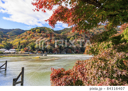 紅葉真っ盛りの嵐山 紅葉真っ盛りの嵐山 84316407