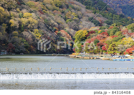 紅葉真っ盛りの嵐山 84316408