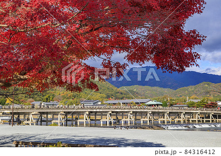 紅葉真っ盛りの嵐山 84316412
