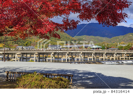 紅葉真っ盛りの嵐山 84316414