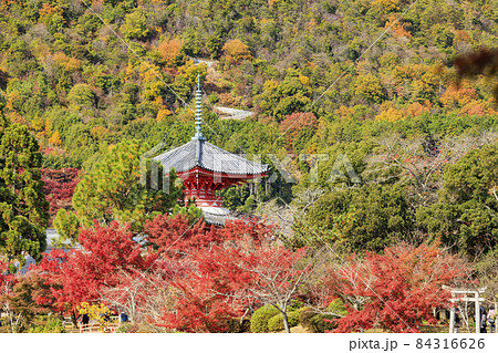 紅葉真っ盛りの世界遺産大覚寺と大沢池 紅葉真っ盛りの世界遺産大覚寺と大沢池 84316626