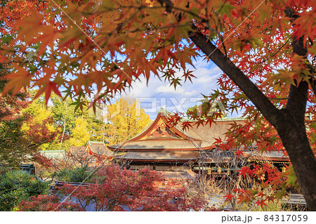 紅葉真っ盛りの北野天満宮もみじ苑 84317059