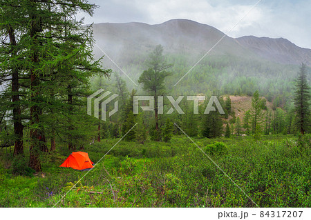 Orange tent under tree in foggy spring coniferous forest on hillside. Atmospheric misty green scenery with alone bright orange tent. Solo treking concept. Solitude in nature. 84317207