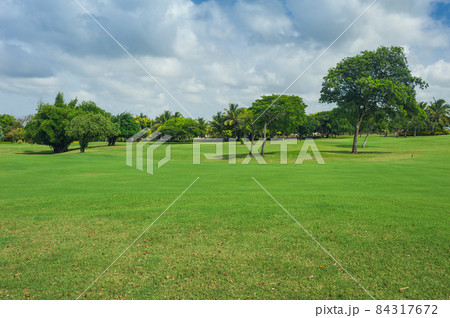 Golf course in Dominican republic. field of grass and coconut palms on Seychelles island. Golf course in Dominican republic. field of grass and coconut palms on Seychelles island. 84317672