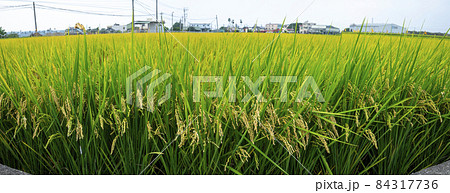 台湾 台中市 台中 84317736