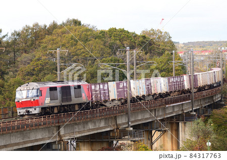 木々が色付き始めた北広市内を行く貨物列車 木々が色付き始めた北広市内を行く貨物列車 84317763