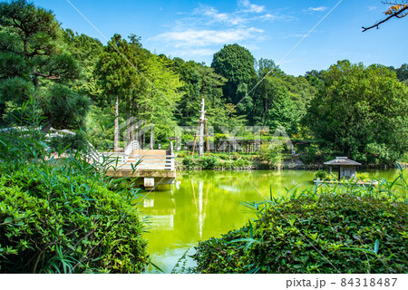 夏の薬師池 東京都町田市 夏の薬師池 東京都町田市 84318487