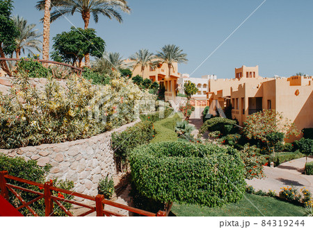 Luxury holiday villa with palm tree Luxury holiday villa with palm tree 84319244
