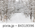 Snow winter forest with frozen snowy trees. 84319396