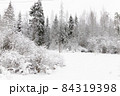 Winter snow forest with frozen snowy trees. 84319398