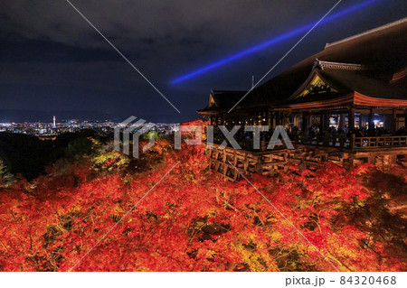 世界遺産清水寺の紅葉ライトアップ 世界遺産清水寺の紅葉ライトアップ 84320468