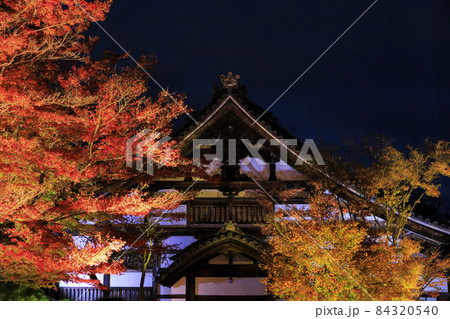 高台寺の紅葉ライトアップ 84320540