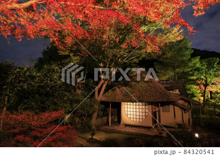 高台寺の紅葉ライトアップ 84320541