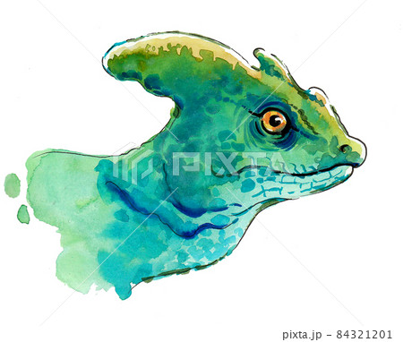 Green iguana lizard head. Ink and watercolour drawing Green iguana lizard head. Ink and watercolour drawing 84321201