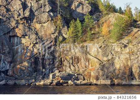 Pine trees on the cliffs of Lake Ladoga at evening time. Republic of Karelia. 84321656