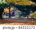秋、冬の光に輝く紅葉の美しい公園、牧場⑵ 84322172