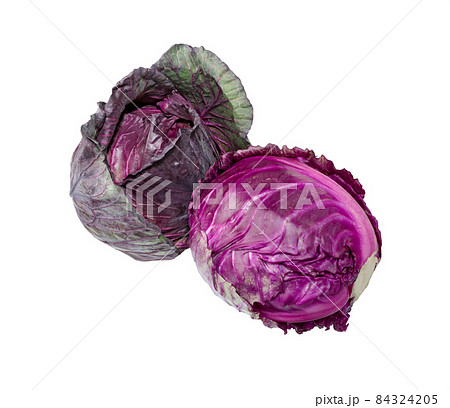 Cabbage red isolated on white. 84324205