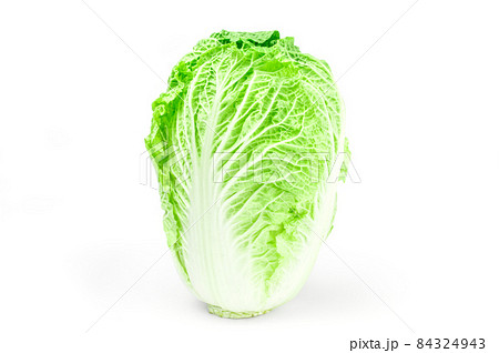 Tasty chinese cabbage isolated on white Tasty chinese cabbage isolated on white 84324943