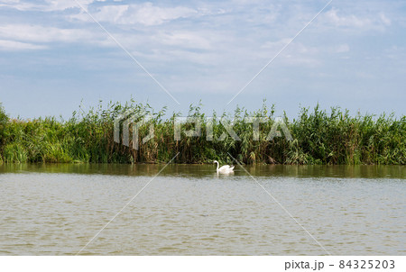 Danube river landscape on a summer day 84325203