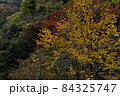 六甲ケーブルから眺めた秋の六甲山 84325747