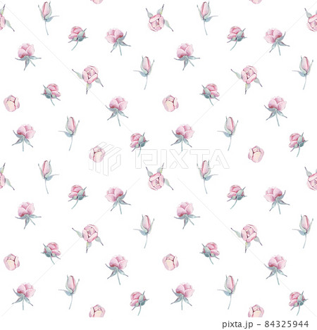 Vintage pink peonies with branches seamless pattern isolated. Watercolor hand drawn floral illustration on a white background. For mother, birthday, valentine, love cards, linen, wrapping. 84325944