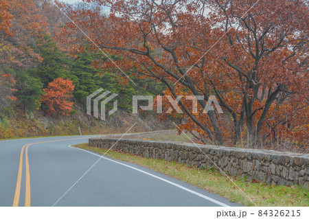 The winding Skyline Drive through the Fall colored trees. In Shenandoah National Park on the Blue Ridge Mountains of Virginia The winding Skyline Drive through the Fall colored trees. In Shenandoah National Park on the Blue Ridge Mountains of Virginia 84326215