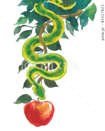 Snake and apple fruit on a tree branch Snake and apple fruit on a tree branch 84327823