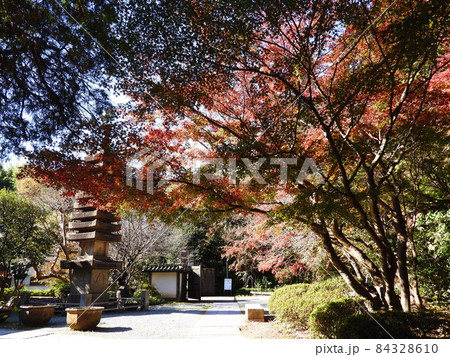 覚園寺　Kakuonji-temple 84328610