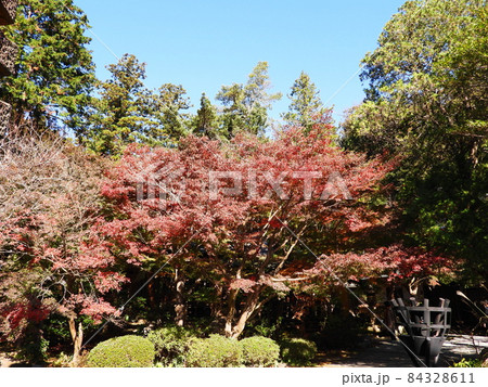 覚園寺　Kakuonji-temple 84328611