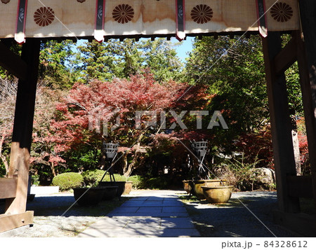 覚園寺　Kakuonji-temple 84328612