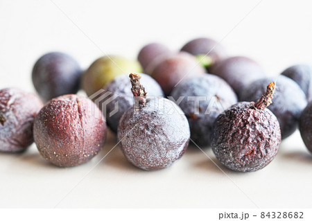 ナギの実 ナギの実 84328682