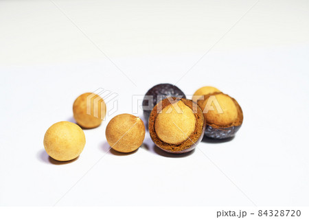 ナギの実(種子) ナギの実(種子) 84328720