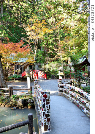 見頃を迎えた小国神社の紅葉 見頃を迎えた小国神社の紅葉 84328721