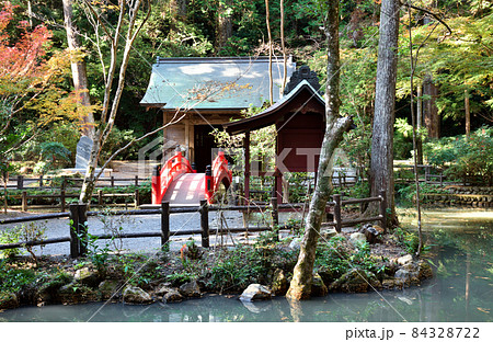 見頃を迎えた小国神社の紅葉 84328722