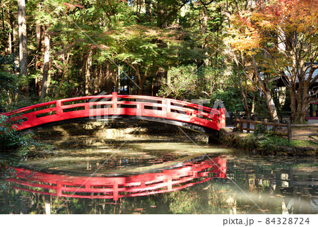 見頃を迎えた小国神社の紅葉 84328724